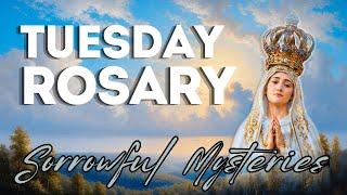 TODAY HOLY ROSARY: SORROWFUL MYSTERIES, ROSARY TUESDAYNOVEMBER 19, 2024  VIRTUAL #holyosarytoday