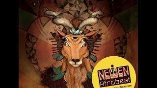 Newen Afrobeat - Full Album