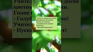 Анекдот дня #настроение #анекдот #прикол #юмор #анекдоты #мем #смех #приколы