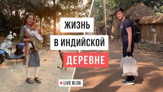 VLOG 29. Маяпур, Индия: есть ли жизнь в индийской деревне / Аскеза в кедах