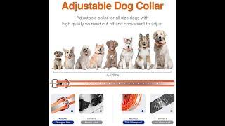 ROJECO 1000m Safe & Effective Electric Dog Adjustable Training Collar with 3 Training Modes