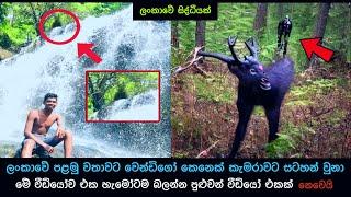 යාය 001 ප්‍රදේශයෙන් විලාප ශබ්ද ඇහෙන්න ගන්නවා, YaYa 001 Episode 1 / Palmada / Kazzai Aliens #horror