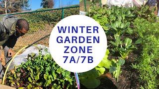 Winter Gardening Tips for Zone 7A, 7B | Raised bed garden