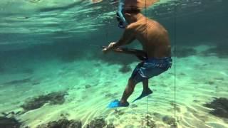 JOINTS SPEARFISHING TAHITI FRENCH POLYNESIA YOUNG GUNS