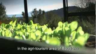 European farmers in rural business - CAP - EU agriculture