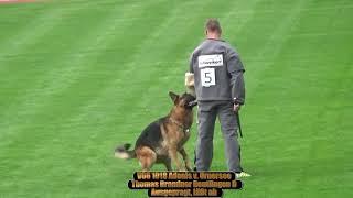 2018 SV BSZS in Nurnberg TSB V66 Adonis v  Urnersee