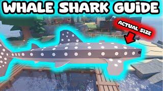 HOW TO CATCH THE WHALE SHARK FULL GUIDE FISCH ROBLOX