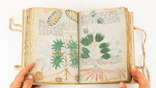 Voynich Manuscript - Facsimile Editions and Medieval Illuminated Manuscripts