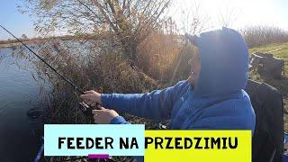 Feeder na przedzimiu