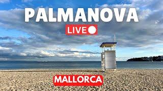  LIVE in Palmanova Mallorca (Majorca)  | 23 February 2025