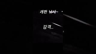 낮에 보니 목이 쉬었던데