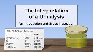 Interpretation of the Urinalysis (Part 1) - Introduction and Inspection