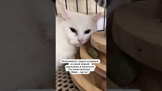 Айдан️Находиьсч в Москве По вопросам ее укотовления пишите по ссылке, указанной в шапке профиля