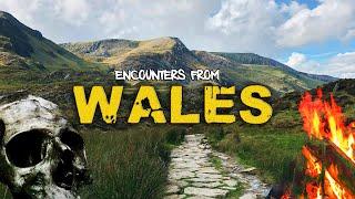 Totally STRANGE and BIZARRE Encounters From WALES That I know you'll LOVE