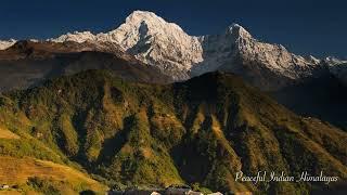 Peaceful Indian Himalayas | Relaxing Bansuri | Bamboo Flute