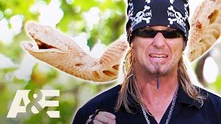 FEARLESS SHOWDOWNS With Dangerous Animals - Billy the Exterminator: Fan Favorites Marathon | A&E