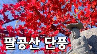 대구 팔공산 단풍 현황 (24.11.5) |  곱게 핀 단풍 보고 싶으면 갓바위 코스로 다녀오세요 feat 소원도 들어드려요