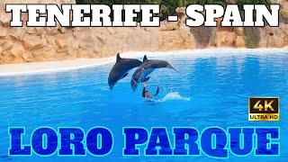 LORO PARQUE - COMPLETE ZOO GUIDE - TENERIFE - SPAIN - 4K