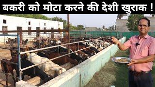 बकरी को मोटा करने के लिए क्या खिलाएं | How to Gain Goat Weight | Goat Weight Gain Feed