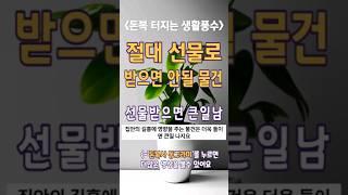 재물운을 지키기 위해서 이것만은 조심하자 #재물운 #생활풍수 #재물복