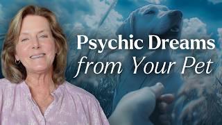 Having Psychic Dreams About Your Pet? Find Out Why! | Tami Hendrix