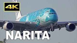 [4K] 100 big jets plane spotting at Tokyo Narita Airport / 成田空港