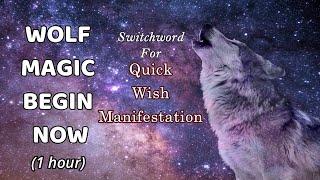 Switchword for Quick Wish Manifestation | Wolf Magic Begin Now (1 hour)