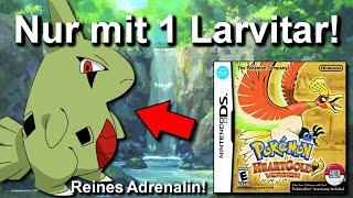 Kann man Pokemon Heartgold mit NUR einem LARVITAR durchspielen? (+ Keine Items in Kämpfen)