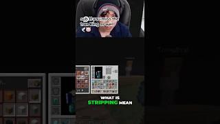 TOMMY ASK  WHAT?~Stripping~ #minecraft #technobladeneverdies #gaming