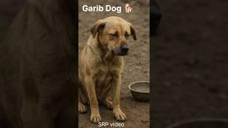 Garib Dog  | Heart Touching AI Animation | SKMGH6 Trending Short