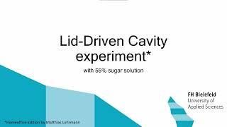 Experimental Simulation of Lid-Driven Cavity Flow