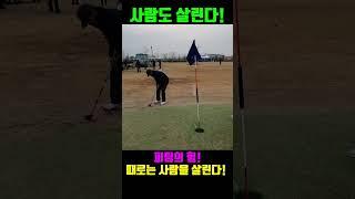 사람을 살렸다!