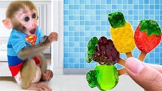 BonBon Macaquinho Come Gelatina Arco-Íris e Brinca com Cachorrinho - BonBon em Português