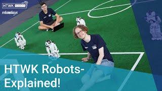 HTWK Robots: Explained!