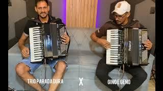 Solos do trio parada dura e Gino e Geno #modao #musica #sertanejo #sanfona