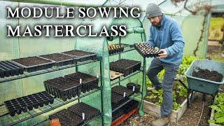 How to Sow Seeds in Modules the No-Nonsense Way