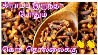 homemade naturali mosquito repellent  / Kosu thollai neenga tips tamil / kitchen tips in Tamil