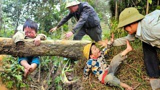 Orphan boy ran away and used forest rope to create a trap to prevent bad guys from approaching