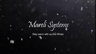 Merry Christmas from Mareli Systems