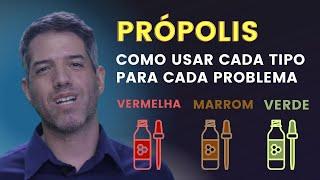 BENEFÍCIOS E COMO USAR AS PRÓPOLIS: VERDE, MARROM E VERMELHA