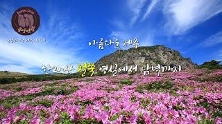 아름다운 제주 -한라산 철쭉 영실에서 남벽까지-