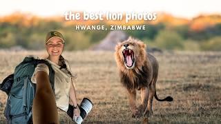 Zimbabwe Wildlife Photography - Part 2