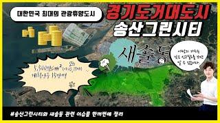 송산그린시티, 지금 개발중인 경기도 거대 휴양 도시와 그 축소형 동네, 새솔동 그리고 안산 경제자유구역