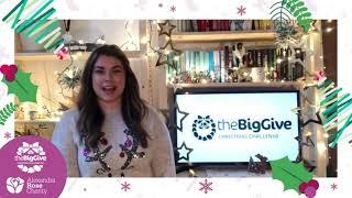 Alexandra Rose Charity The Big Give Christmas Challenge