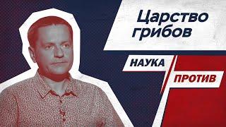 Миколог против мифов о том, как живут грибы // Наука против