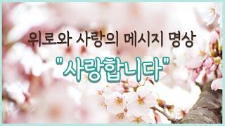 위로와 사랑의 메시지 명상  "사랑합니다" - 만월도전 선도명상