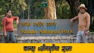 कान्हा जंगल सफारी | Kanha National Park l Kanha Tiger Reserve | kanha Wildlife  4k Video