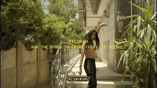 Felukah - Ask the Birds in Cairo (feat. MC Bolbol)