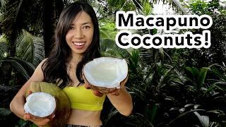 Coconut Craze: My Exciting Quest for Bizarre Finds in Vietnam!