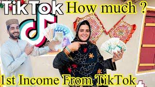 1st Income From TikTok  How much||Kishwar Village Vlog